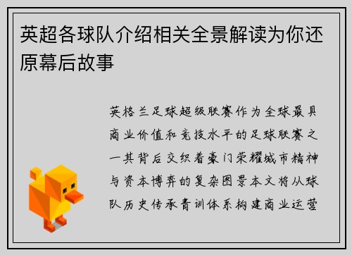 英超各球队介绍相关全景解读为你还原幕后故事